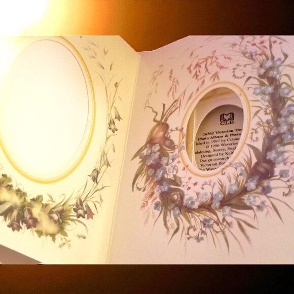 Victorian Treasury Photograph Album with Photo Mounts & Envelopes - Picture 9 of 10